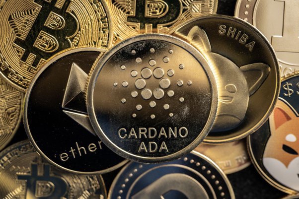 数字货币投资选择：Cardano、DigiToads和Monero